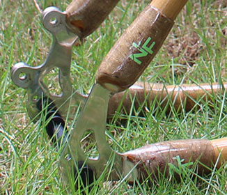 IMG_0750-.jpg IMG_0750-.jpg